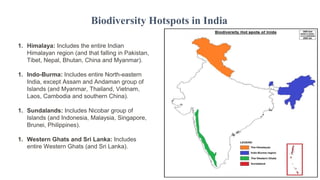 1. Himalaya: Includes the entire Indian
Himalayan region (and that falling in Pakistan,
Tibet, Nepal, Bhutan, China and Myanmar).
1. Indo-Burma: Includes entire North-eastern
India, except Assam and Andaman group of
Islands (and Myanmar, Thailand, Vietnam,
Laos, Cambodia and southern China).
1. Sundalands: Includes Nicobar group of
Islands (and Indonesia, Malaysia, Singapore,
Brunei, Philippines).
1. Western Ghats and Sri Lanka: Includes
entire Western Ghats (and Sri Lanka).
Biodiversity Hotspots in India
 