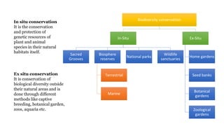 Biodiversity conservation
In-Situ
Sacred
Grooves
Biosphere
reserves
Terrestrial
Marine
National parks
Wildlife
sanctuaries
Ex-Situ
Home gardens
Seed banks
Botanical
gardens
Zoological
gardens
In situ conservation
It is the conservation
and protection of
genetic resources of
plant and animal
species in their natural
habitats itself.
Ex situ conservation
It is conservation of
biological diversity outside
their natural areas and is
done through different
methods like captive
breeding, botanical garden,
zoos, aquaria etc.
 