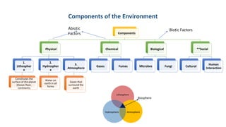 Components
Physical
1.
Lithospher
e
Constitutes the
surface of the planet
(Ocean floor,
continents)
2.
Hydrospher
e
Water on
earth in all
forms
3.
Atmosphere
Gases that
surround the
earth
Chemical
Gases Fumes
Biological
Microbes Fungi
**Social
Cultural
Human
Interaction
Components of the Environment
Lithosphere
Atmosphere
Hydrosphere
Biosphere
Abiotic
Factors
Biotic Factors
 