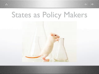 States as Policy Makers
 