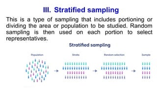 III. Stratified sampling
This is a type of sampling that includes portioning or
dividing the area or population to be studied. Random
sampling is then used on each portion to select
representatives.
 