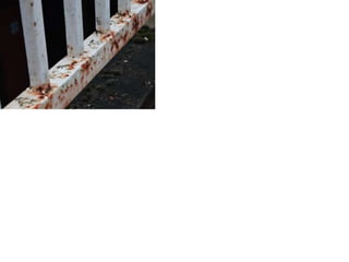 Unit 1 Electronic Portfolio