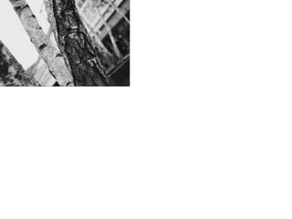 Unit 1 Electronic Portfolio