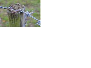 Unit 1 Electronic Portfolio