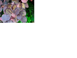 Unit 1 Electronic Portfolio