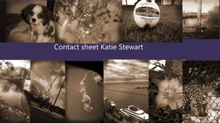 Contact sheet Katie Stewart 
 
