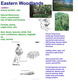 Eastern WoodlandsWeather:snowy winters , rainNatural Resources:rivers, ocean/coastlots of lakes and streamsForests, plants, maple trees, elm,deer, bears, beavers, birds, fishcorn, sunflowers, tobacco, vegetables,nuts, berriesHouses: long houses sturdy, log- framed houses covered in elm bark about twenty feet wide and over 100 feet long. Several related families live in sections of the house.clothing: skirts, capes, and moccasins made of deer skins.Tools: ground corn with wooden sticks, used wooden canoes, speared fish.For farming land, men burnt small section of trees and underbrush. Women used hoes for planting. Made maple syrup and wooden storage canisters.