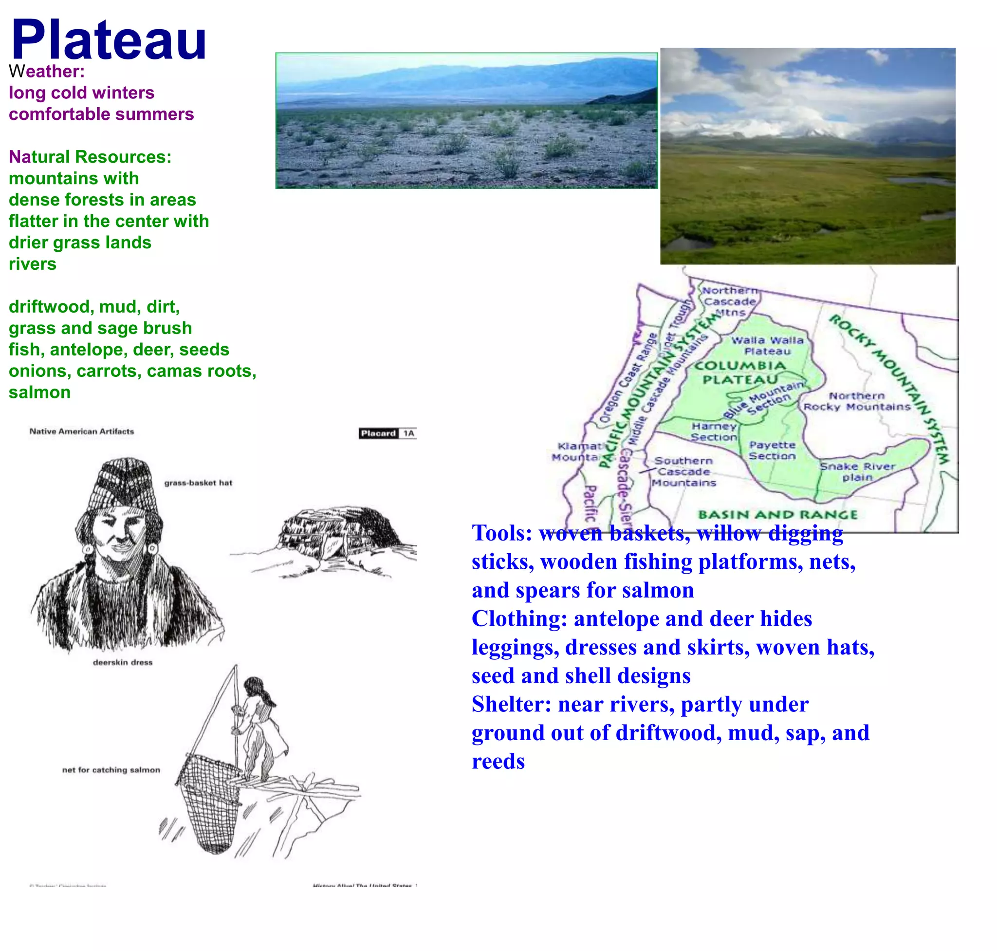 PlateauWeather:long cold winterscomfortable summers Natural Resources:mountains with dense forests in areasflatter in the center with drier grass landsriversdriftwood, mud, dirt,grass and sage brushfish, antelope, deer, seedsonions, carrots, camas roots, salmonTools: woven baskets, willow digging sticks, wooden fishing platforms, nets, and spears for salmonClothing: antelope and deer hides leggings, dresses and skirts, woven hats, seed and shell designsShelter: near rivers, partly under ground out of driftwood, mud, sap, and reeds