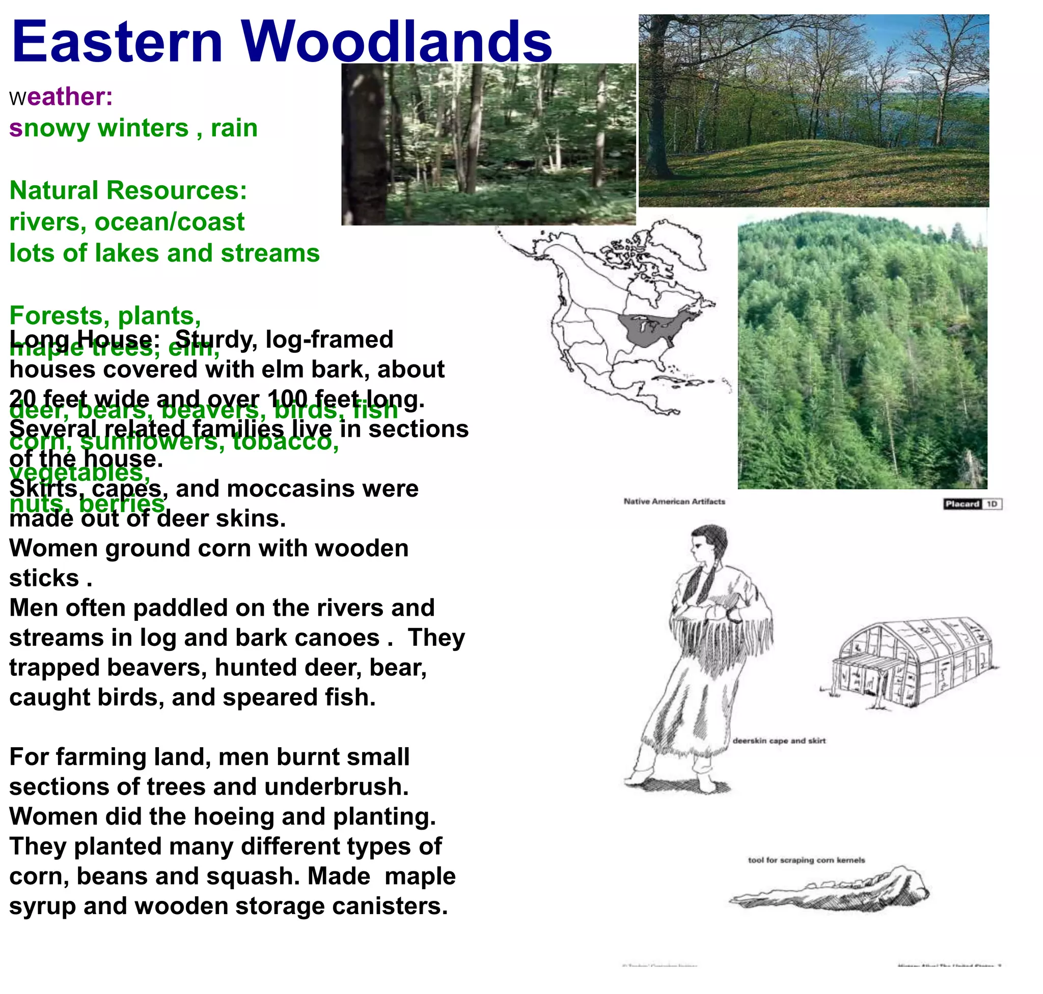 Eastern WoodlandsWeather:snowy winters , rainNatural Resources:rivers, ocean/coastlots of lakes and streamsForests, plants, maple trees, elm,deer, bears, beavers, birds, fishcorn, sunflowers, tobacco, vegetables,nuts, berriesLong House:  Sturdy, log-framed houses covered with elm bark, about 20 feet wide and over 100 feet long. Several related families live in sections of the house.Skirts, capes, and moccasins were made out of deer skins.Women ground corn with wooden sticks .Men often paddled on the rivers and streams in log and bark canoes .  They trapped beavers, hunted deer, bear, caught birds, and speared fish.For farming land, men burnt small sections of trees and underbrush. Women did the hoeing and planting. They planted many different types of corn, beans and squash. Made  maple syrup and wooden storage canisters.
