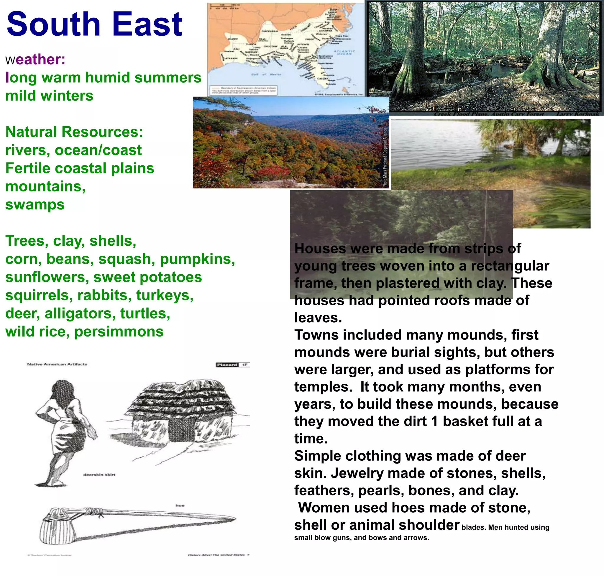 South EastWeather:long warm humid summersmild wintersNatural Resources:rivers, ocean/coastFertile coastal plainsmountains, swampsTrees, clay, shells, corn, beans, squash, pumpkins, sunflowers, sweet potatoessquirrels, rabbits, turkeys, deer, alligators, turtles,wild rice, persimmonsHouses were made from strips of young trees woven into a rectangular frame, then plastered with clay. These houses had pointed roofs made of leaves.Towns included many mounds, first mounds were burial sights, but others were larger, and used as platforms for temples.  It took many months, even years, to build these mounds, because they moved the dirt 1 basket full at a time.Simple clothing was made of deer skin. Jewelry made of stones, shells, feathers, pearls, bones, and clay. Women used hoes made of stone, shell or animal shoulder blades. Men hunted using small blow guns, and bows and arrows.