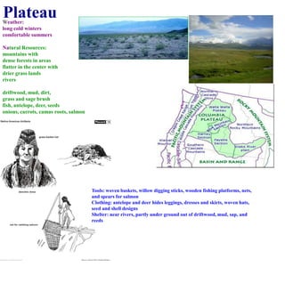 PlateauWeather:long cold winterscomfortable summers Natural Resources:mountains with dense forests in areasflatter in the center with drier grass landsriversdriftwood, mud, dirt,grass and sage brushfish, antelope, deer, seedsonions, carrots, camas roots, salmonTools: woven baskets, willow digging sticks, wooden fishing platforms, nets, and spears for salmonClothing: antelope and deer hides leggings, dresses and skirts, woven hats, seed and shell designsShelter: near rivers, partly under ground out of driftwood, mud, sap, and reeds