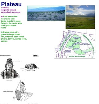 PlateauWeather:long cold winterscomfortable summers Natural Resources:mountains with dense forests in areasflatter in the center with drier grass landsriversdriftwood, mud, dirt,grass and sage brushfish, antelope, deer, seedsonions, carrots, camas roots, salmon