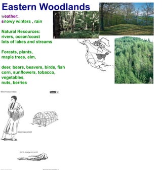 Eastern WoodlandsWeather:snowy winters , rainNatural Resources:rivers, ocean/coastlots of lakes and streamsForests, plants, maple trees, elm,deer, bears, beavers, birds, fishcorn, sunflowers, tobacco, vegetables,nuts, berries