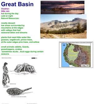Great BasinWeather:little rainhot during the day cold at nightNatural Resources:mostly dessertlow areas surrounded by mountains at the edgeswith valleys that had seasonal lakes and streamsplants that need little water likegrasses, sagebrush, pinion trees, at the outer edges pine trees, and willowsmall animals rabbits, lizards, grasshoppers, snakes sometimes ducks , duck eggs during certain seasons seeds, berries pine nuts, roots; cattail.