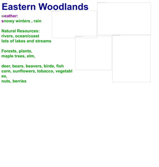 Eastern WoodlandsWeather:snowy winters , rainNatural Resources:rivers, ocean/coastlots of lakes and streamsForests, plants, maple trees, elm,deer, bears, beavers, birds, fishcorn, sunflowers, tobacco, vegetables,nuts, berries