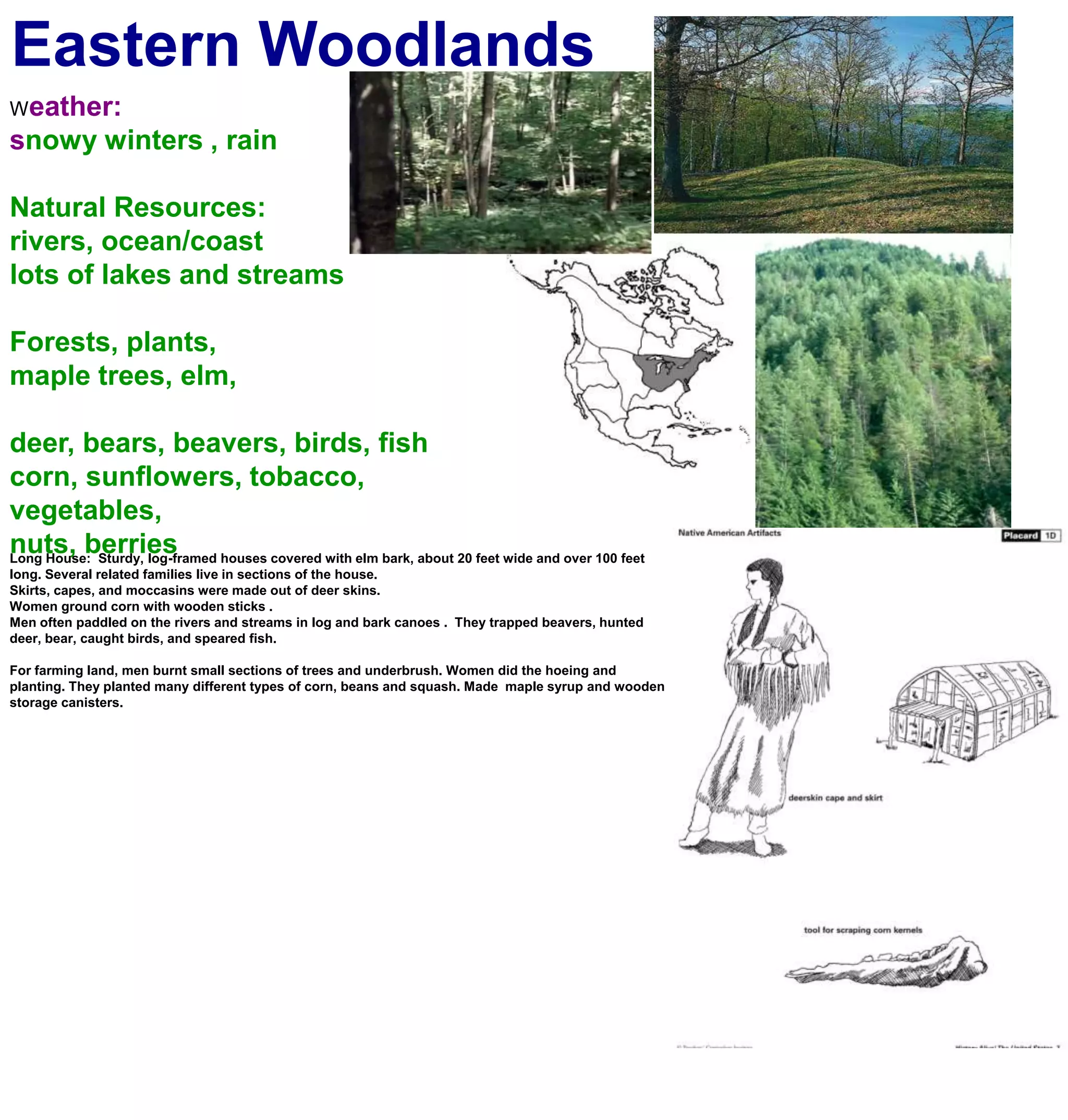 Eastern WoodlandsWeather:snowy winters , rainNatural Resources:rivers, ocean/coastlots of lakes and streamsForests, plants, maple trees, elm,deer, bears, beavers, birds, fishcorn, sunflowers, tobacco, vegetables,nuts, berriesLong House:  Sturdy, log-framed houses covered with elm bark, about 20 feet wide and over 100 feet long. Several related families live in sections of the house.Skirts, capes, and moccasins were made out of deer skins.Women ground corn with wooden sticks .Men often paddled on the rivers and streams in log and bark canoes .  They trapped beavers, hunted deer, bear, caught birds, and speared fish.For farming land, men burnt small sections of trees and underbrush. Women did the hoeing and planting. They planted many different types of corn, beans and squash. Made  maple syrup and wooden storage canisters.