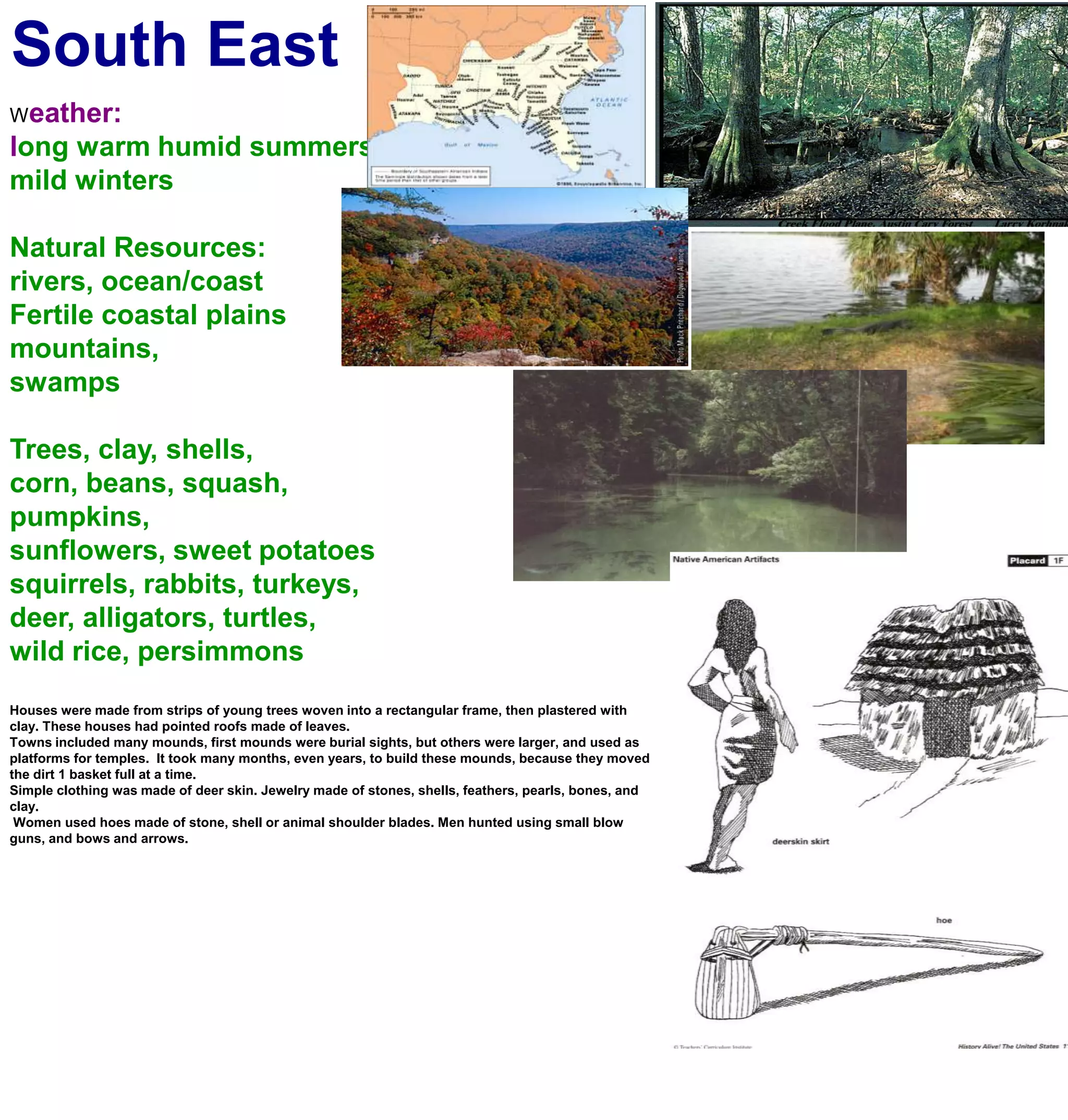 South EastWeather:long warm humid summersmild wintersNatural Resources:rivers, ocean/coastFertile coastal plainsmountains, swampsTrees, clay, shells, corn, beans, squash, pumpkins, sunflowers, sweet potatoessquirrels, rabbits, turkeys, deer, alligators, turtles,wild rice, persimmonsHouses were made from strips of young trees woven into a rectangular frame, then plastered with clay. These houses had pointed roofs made of leaves.Towns included many mounds, first mounds were burial sights, but others were larger, and used as platforms for temples.  It took many months, even years, to build these mounds, because they moved the dirt 1 basket full at a time.Simple clothing was made of deer skin. Jewelry made of stones, shells, feathers, pearls, bones, and clay. Women used hoes made of stone, shell or animal shoulder blades. Men hunted using small blow guns, and bows and arrows.
