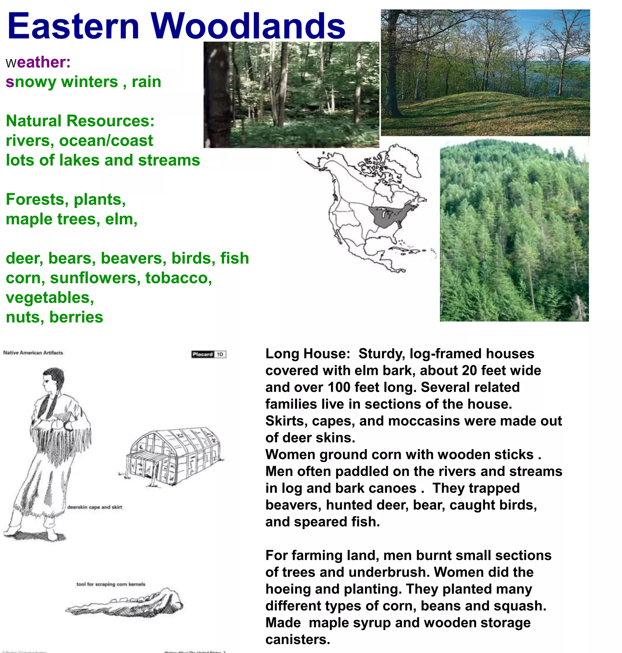 Eastern WoodlandsWeather:snowy winters , rainNatural Resources:rivers, ocean/coastlots of lakes and streamsForests, plants, maple trees, elm,deer, bears, beavers, birds, fishcorn, sunflowers, tobacco, vegetables,nuts, berriesLong House:  Sturdy, log-framed houses covered with elm bark, about 20 feet wide and over 100 feet long. Several related families live in sections of the house.Skirts, capes, and moccasins were made out of deer skins.Women ground corn with wooden sticks .Men often paddled on the rivers and streams in log and bark canoes .  They trapped beavers, hunted deer, bear, caught birds, and speared fish.For farming land, men burnt small sections of trees and underbrush. Women did the hoeing and planting. They planted many different types of corn, beans and squash. Made  maple syrup and wooden storage canisters.