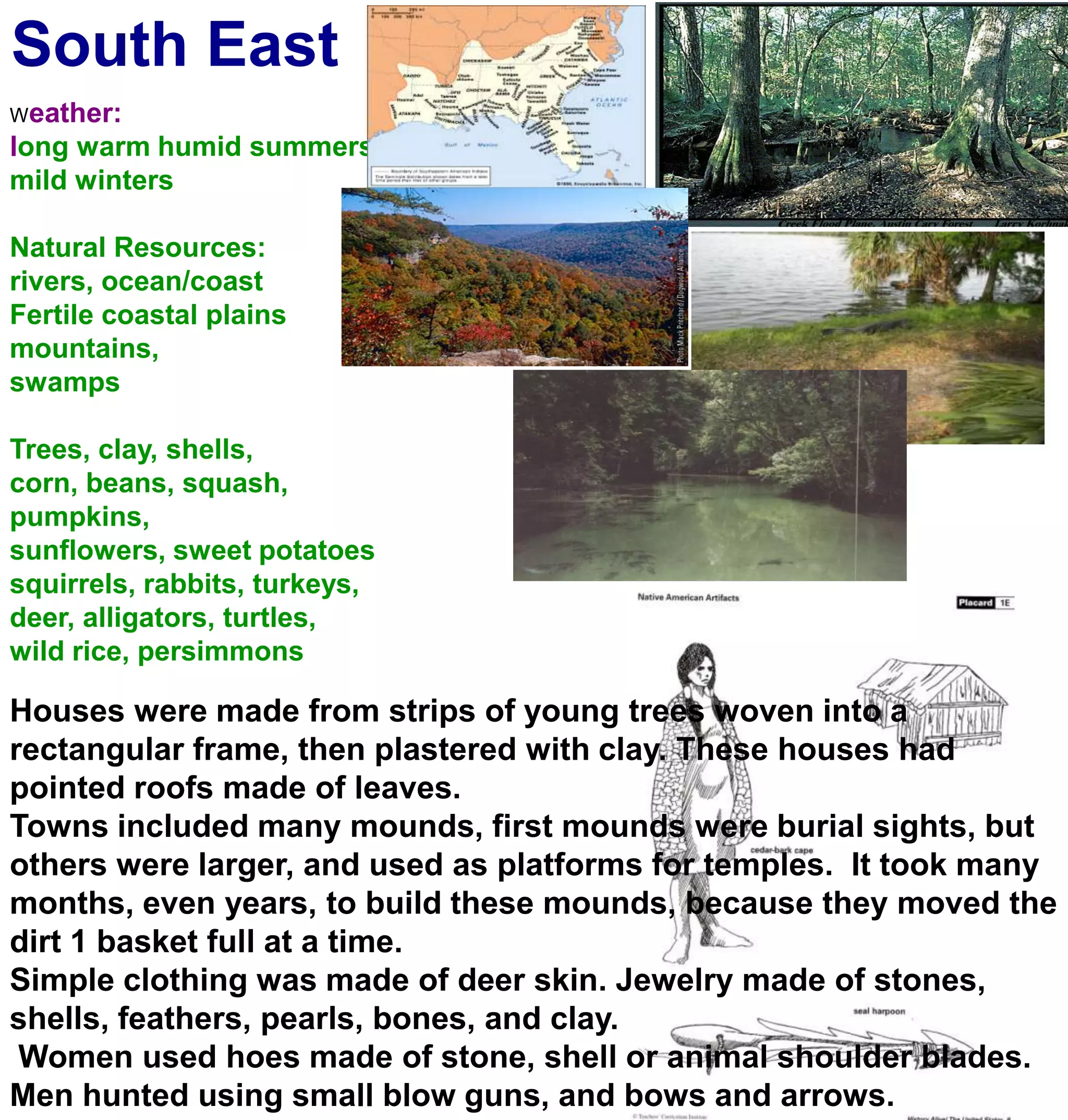 South EastWeather:long warm humid summersmild wintersNatural Resources:rivers, ocean/coastFertile coastal plainsmountains, swampsTrees, clay, shells, corn, beans, squash, pumpkins, sunflowers, sweet potatoessquirrels, rabbits, turkeys, deer, alligators, turtles,wild rice, persimmonsHouses were made from strips of young trees woven into a rectangular frame, then plastered with clay. These houses had pointed roofs made of leaves.Towns included many mounds, first mounds were burial sights, but others were larger, and used as platforms for temples.  It took many months, even years, to build these mounds, because they moved the dirt 1 basket full at a time.Simple clothing was made of deer skin. Jewelry made of stones, shells, feathers, pearls, bones, and clay. Women used hoes made of stone, shell or animal shoulder blades. Men hunted using small blow guns, and bows and arrows.