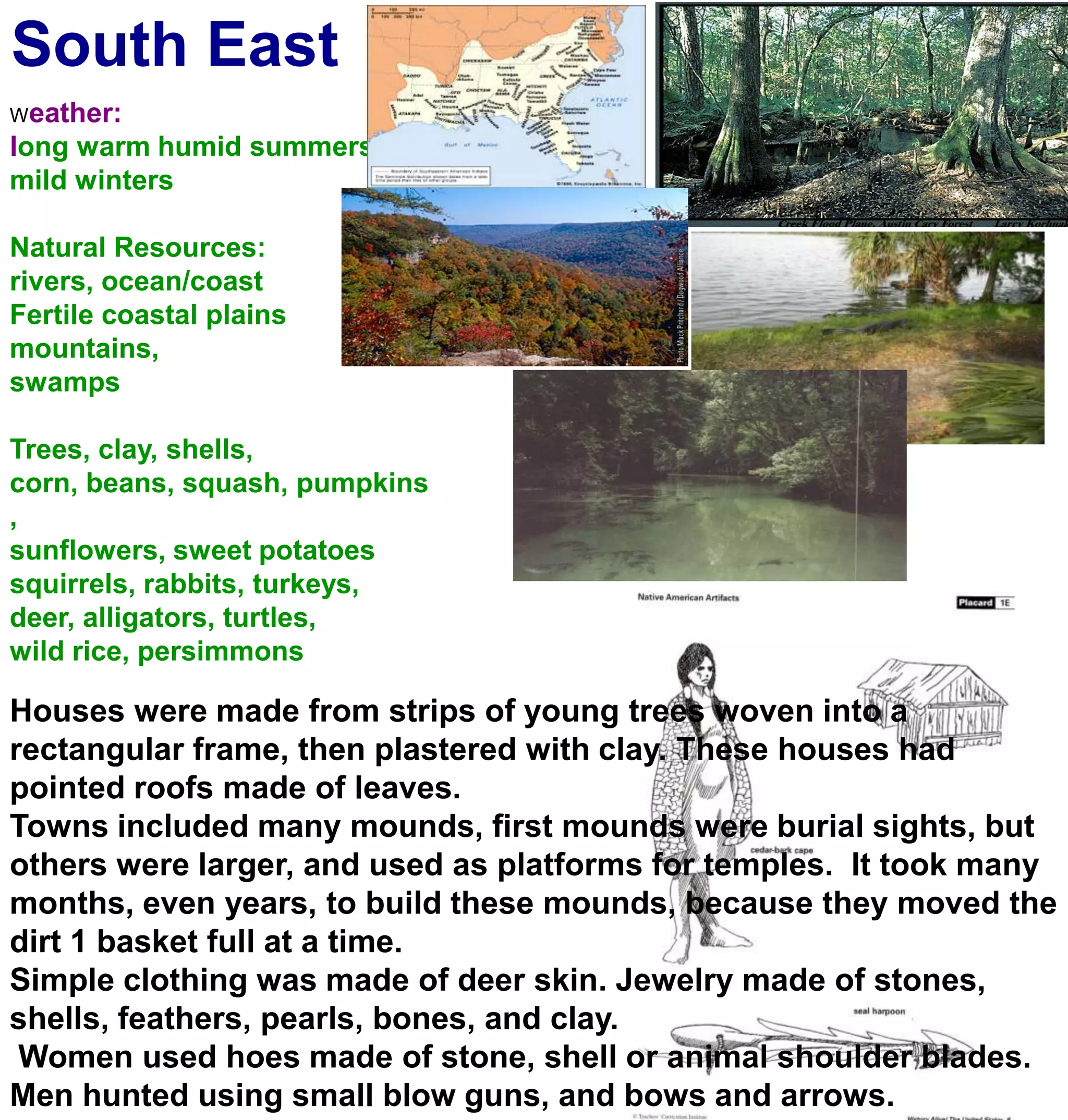 South EastWeather:long warm humid summersmild wintersNatural Resources:rivers, ocean/coastFertile coastal plainsmountains, swampsTrees, clay, shells, corn, beans, squash, pumpkins, sunflowers, sweet potatoessquirrels, rabbits, turkeys, deer, alligators, turtles,wild rice, persimmonsHouses were made from strips of young trees woven into a rectangular frame, then plastered with clay. These houses had pointed roofs made of leaves.Towns included many mounds, first mounds were burial sights, but others were larger, and used as platforms for temples.  It took many months, even years, to build these mounds, because they moved the dirt 1 basket full at a time.Simple clothing was made of deer skin. Jewelry made of stones, shells, feathers, pearls, bones, and clay. Women used hoes made of stone, shell or animal shoulder blades. Men hunted using small blow guns, and bows and arrows.