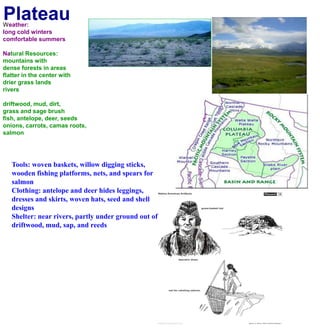 PlateauWeather:long cold winterscomfortable summers Natural Resources:mountains with dense forests in areasflatter in the center with drier grass landsriversdriftwood, mud, dirt,grass and sage brushfish, antelope, deer, seedsonions, carrots, camas roots, salmonTools: woven baskets, willow digging sticks, wooden fishing platforms, nets, and spears for salmonClothing: antelope and deer hides leggings, dresses and skirts, woven hats, seed and shell designsShelter: near rivers, partly under ground out of driftwood, mud, sap, and reeds