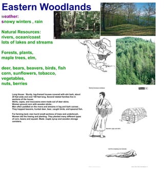 Eastern WoodlandsWeather:snowy winters , rainNatural Resources:rivers, ocean/coastlots of lakes and streamsForests, plants, maple trees, elm,deer, bears, beavers, birds, fishcorn, sunflowers, tobacco, vegetables,nuts, berriesLong House:  Sturdy, log-framed houses covered with elm bark, about 20 feet wide and over 100 feet long. Several related families live in sections of the house.Skirts, capes, and moccasins were made out of deer skins.Women ground corn with wooden sticks .Men often paddled on the rivers and streams in log and bark canoes .  They trapped beavers, hunted deer, bear, caught birds, and speared fish.For farming land, men burnt small sections of trees and underbrush. Women did the hoeing and planting. They planted many different types of corn, beans and squash. Made  maple syrup and wooden storage canisters.