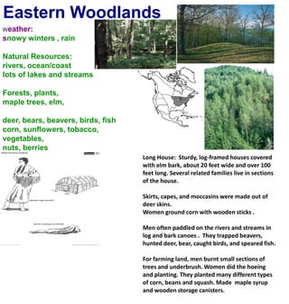 Eastern WoodlandsWeather:snowy winters , rainNatural Resources:rivers, ocean/coastlots of lakes and streamsForests, plants, maple trees, elm,deer, bears, beavers, birds, fishcorn, sunflowers, tobacco, vegetables,nuts, berriesLong House:  Sturdy, log-framed houses covered with elm bark, about 20 feet wide and over 100 feet long. Several related families live in sections of the house. Skirts, capes, and moccasins were made out of deer skins.Women ground corn with wooden sticks . Men often paddled on the rivers and streams in log and bark canoes .  They trapped beavers, hunted deer, bear, caught birds, and speared fish.For farming land, men burnt small sections of trees and underbrush. Women did the hoeing and planting. They planted many different types of corn, beans and squash. Made  maple syrup and wooden storage canisters.