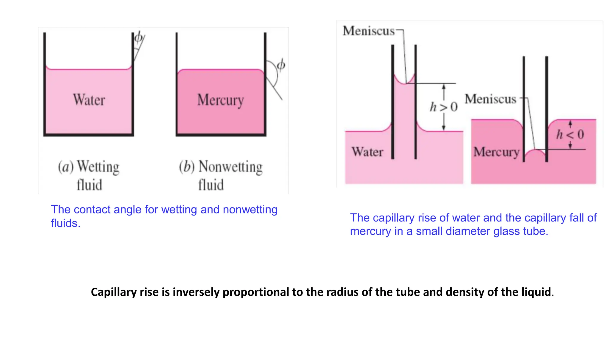 The capillary rise of water and the capillary fall of
mercury in a small diameter glass tube.
Capillary rise is inversely proportional to the radius of the tube and density of the liquid.
The contact angle for wetting and nonwetting
fluids.
 