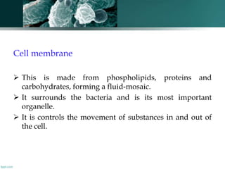 General Biology  - Ultra structure of Prokaryotes - Dr. S. Ganesh
