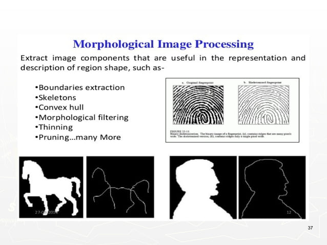 Digital Image Processing Unit 1 NotesPPT | PPT