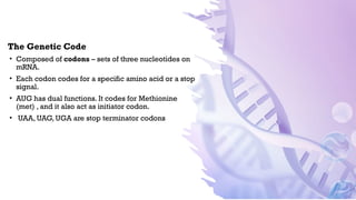 Stop Code Uaa BSC GENOME gene expression eukaryotes.pptx