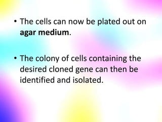• The cells can now be plated out on
agar medium.
• The colony of cells containing the
desired cloned gene can then be
identified and isolated.
 