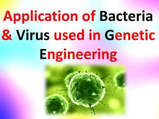 Application of Bacteria
& Virus used in Genetic
Engineering
 