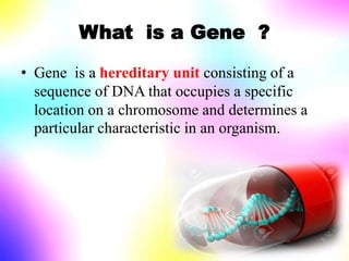 What is a Gene ?
• Gene is a hereditary unit consisting of a
sequence of DNA that occupies a specific
location on a chromosome and determines a
particular characteristic in an organism.
 