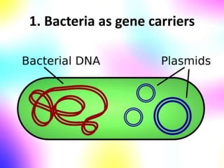 1. Bacteria as gene carriers
 