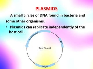 PLASMIDS
A small circles of DNA found in bacteria and
some other organisms.
• Plasmids can replicate independently of the
host cell .
 