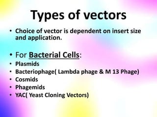 Types of vectors
• Choice of vector is dependent on insert size
and application.
• For Bacterial Cells:
• Plasmids
• Bacteriophage( Lambda phage & M 13 Phage)
• Cosmids
• Phagemids
• YAC( Yeast Cloning Vectors)
 