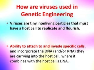 How are viruses used in
Genetic Engineering
• Viruses are tiny, nonliving particles that must
have a host cell to replicate and flourish.
• Ability to attach to and invade specific cells,
and incorporate the DNA (and/or RNA) they
are carrying into the host cell, where it
combines with the host cell's DNA.
 