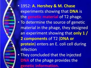 • 1952: A. Hershey & M. Chase
experiments showing that DNA is
the genetic material of T2 phage.
• To determine the source of genetic
material in the phage, they designed
an experiment showing that only 1 /
2 components of T2 (DNA or
protein) enters an E. coli cell during
infection
• They concluded that the injected
DNA of the phage provides the
genetic information.
 