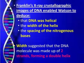 • Franklin’s X-ray crystallographic
images of DNA enabled Watson to
deduce:
• that DNA was helical
• the width of the helix
• the spacing of the nitrogenous
bases
• Width suggested that the DNA
molecule was made up of 2
strands, forming a double helix
 