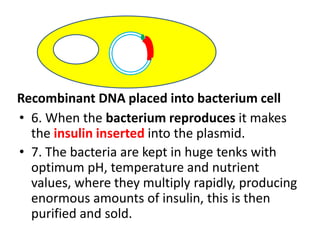 • 6. When the bacterium reproduces it makes
the insulin inserted into the plasmid.
• 7. The bacteria are kept in huge tenks with
optimum pH, temperature and nutrient
values, where they multiply rapidly, producing
enormous amounts of insulin, this is then
purified and sold.
Recombinant DNA placed into bacterium cell
 
