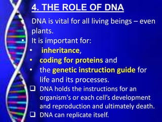 4. THE ROLE OF DNA
• DNA is vital for all living beings – even
plants.
• It is important for:
• inheritance,
• coding for proteins and
• the genetic instruction guide for
life and its processes.
 DNA holds the instructions for an
organism's or each cell’s development
and reproduction and ultimately death.
 DNA can replicate itself.
 