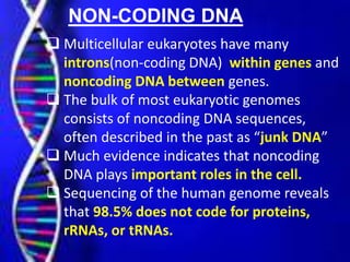 NON-CODING DNA
 Multicellular eukaryotes have many
introns(non-coding DNA) within genes and
noncoding DNA between genes.
 The bulk of most eukaryotic genomes
consists of noncoding DNA sequences,
often described in the past as “junk DNA”
 Much evidence indicates that noncoding
DNA plays important roles in the cell.
 Sequencing of the human genome reveals
that 98.5% does not code for proteins,
rRNAs, or tRNAs.
 