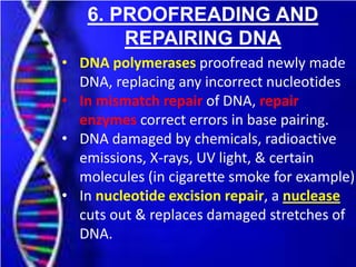 6. PROOFREADING AND
REPAIRING DNA
• DNA polymerases proofread newly made
DNA, replacing any incorrect nucleotides
• In mismatch repair of DNA, repair
enzymes correct errors in base pairing.
• DNA damaged by chemicals, radioactive
emissions, X-rays, UV light, & certain
molecules (in cigarette smoke for example)
• In nucleotide excision repair, a nuclease
cuts out & replaces damaged stretches of
DNA.
 