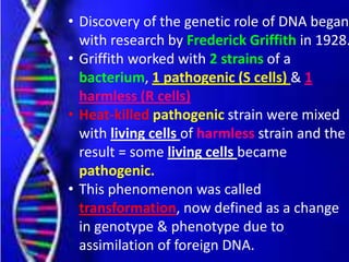 • Discovery of the genetic role of DNA began
with research by Frederick Griffith in 1928.
• Griffith worked with 2 strains...