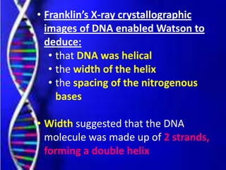 • Franklin’s X-ray crystallographic
images of DNA enabled Watson to
deduce:
• that DNA was helical
• the width of the helix
• the spacing of the nitrogenous
bases
• Width suggested that the DNA
molecule was made up of 2 strands,
forming a double helix
 
