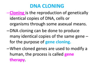 DNA CLONING
–Cloning is the reproduction of genetically
identical copies of DNA, cells or
organisms through some asexual means.
–DNA cloning can be done to produce
many identical copies of the same gene –
for the purpose of gene cloning.
–When cloned genes are used to modify a
human, the process is called gene
therapy.
 