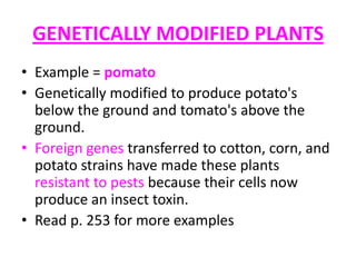 GENETICALLY MODIFIED PLANTS
• Example = pomato
• Genetically modified to produce potato's
below the ground and tomato's above the
ground.
• Foreign genes transferred to cotton, corn, and
potato strains have made these plants
resistant to pests because their cells now
produce an insect toxin.
• Read p. 253 for more examples
 