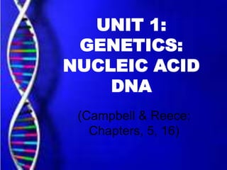 UNIT 1:
GENETICS:
NUCLEIC ACID
DNA
(Campbell & Reece:
Chapters, 5, 16)

 