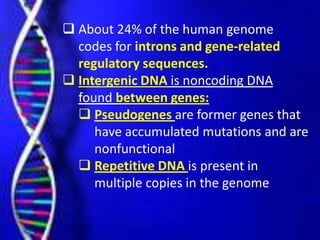  About 24% of the human genome
codes for introns and gene-related
regulatory sequences.
 Intergenic DNA is noncoding DNA
found between genes:
 Pseudogenes are former genes that
have accumulated mutations and are
nonfunctional
 Repetitive DNA is present in
multiple copies in the genome

 